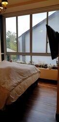 Whitley Road (D11), Terrace #546983461